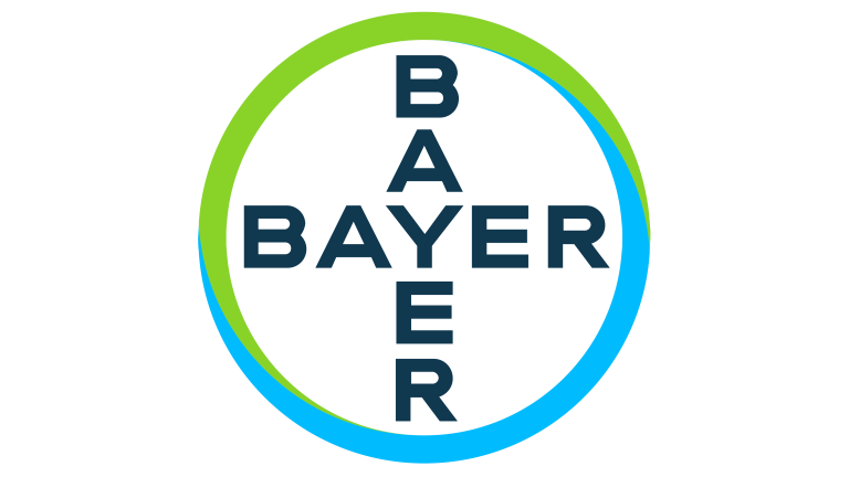 Partner 4